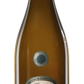 Collavini - Pinot Grigio ‘Villa Canlungo’, Collio - 2024