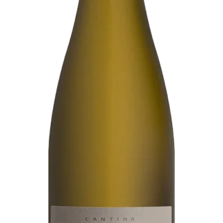 Tramin - Alto Adige, Gewürztraminer - 2024