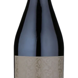 San Silvestro - Piemonte, Appassimento, Barbera - 2023