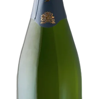 Wiston Estate - Sussex, Blanc de Blancs - NV