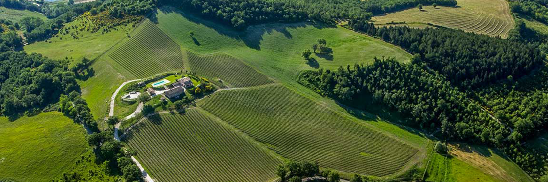 Agricola Tenuea Colpaola